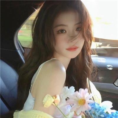 狗狗监护权